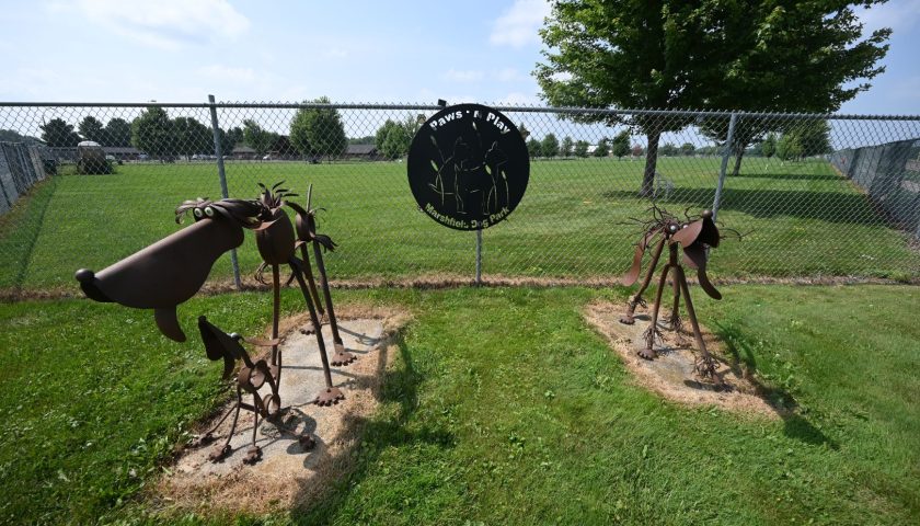 Paws ‘N Play Dog Park