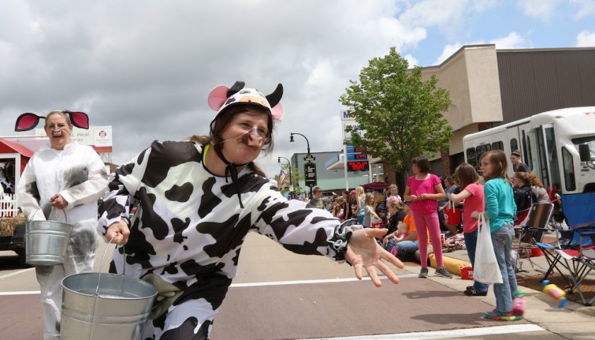Dairyfest parade, cow costume