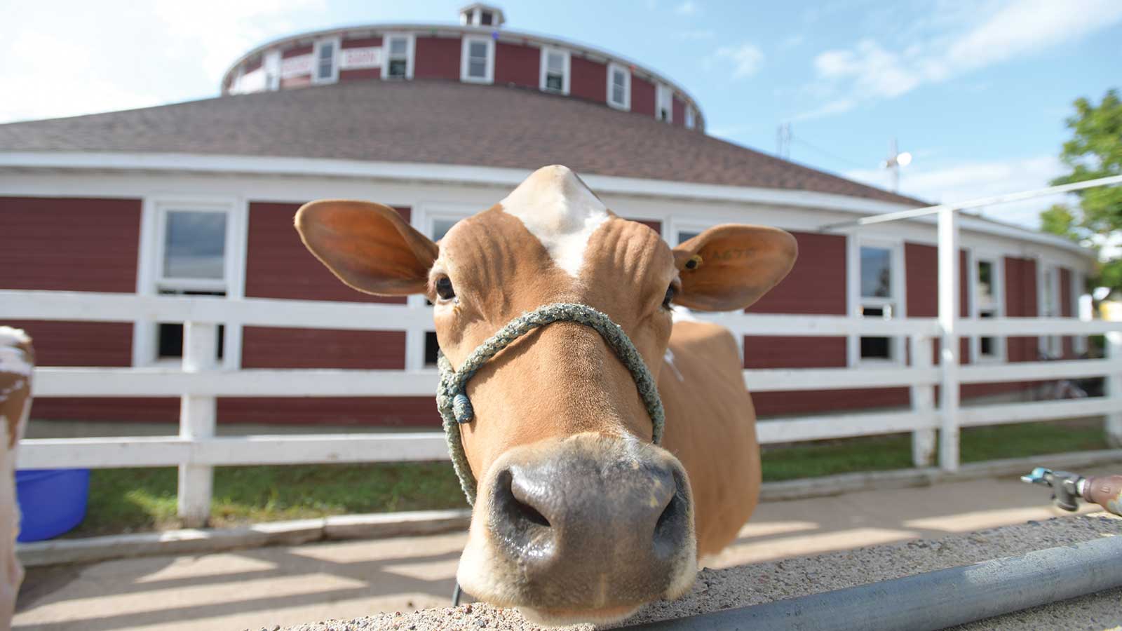 World’s Largest Round Barn Marshfield WI