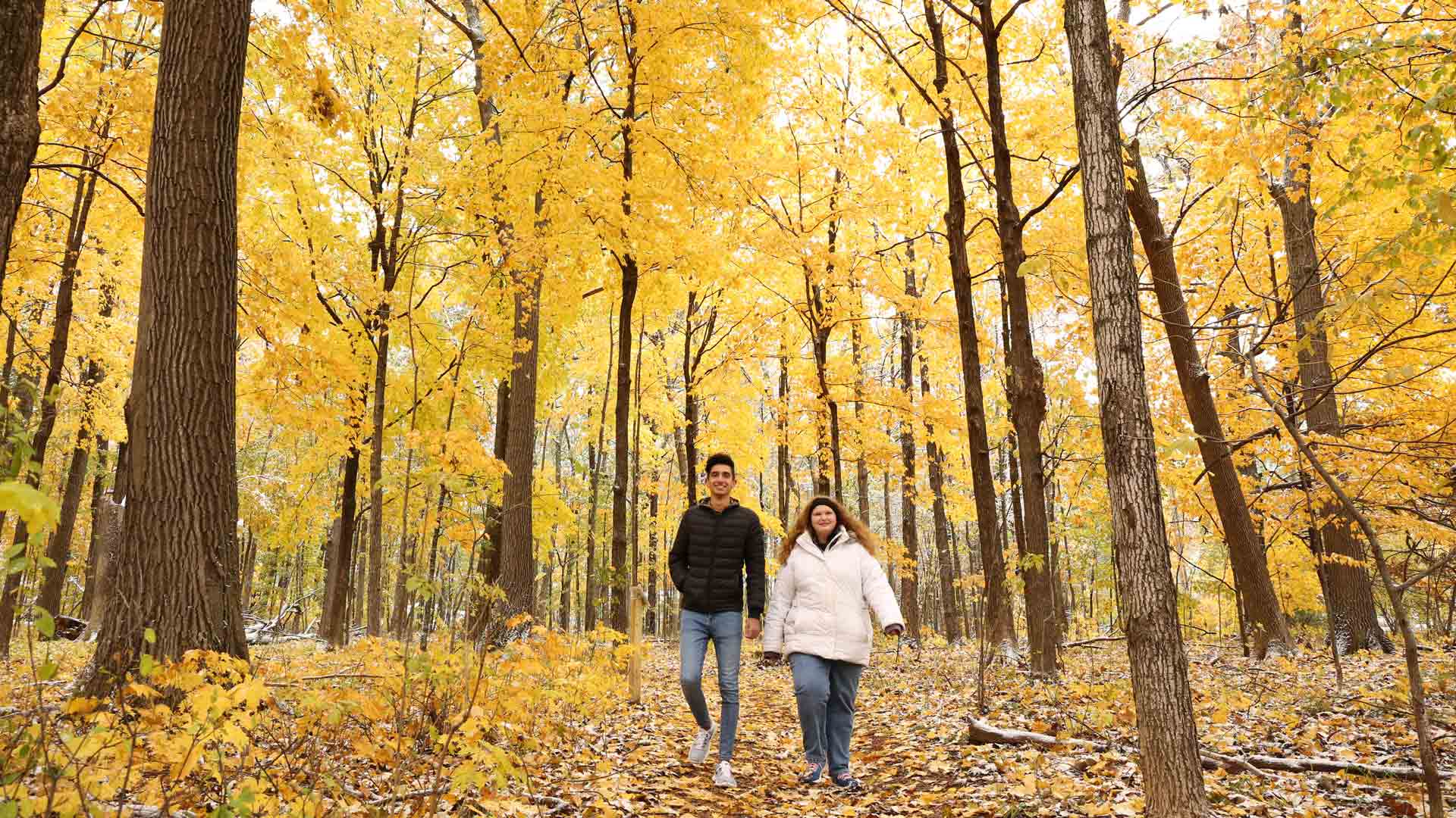 Find late-fall fun in Marshfield | Fall hiking in Marshfield WI
