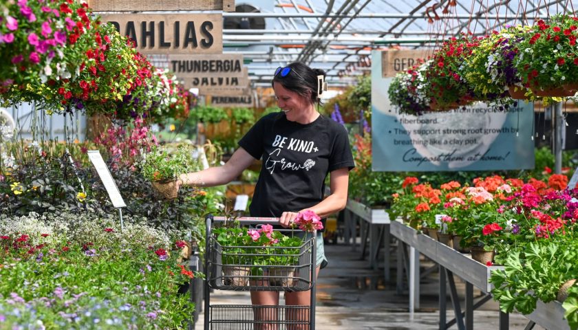 Woman shopping for flowers at the garden store at Mill Creek Gardens in Marshfield Wisconsin