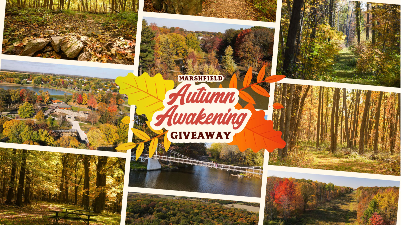 Autumn Awakening Giveaway | Marshfield Autumn Awakening Giveaway